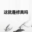這就是修真嗎 這就是修真嗎
