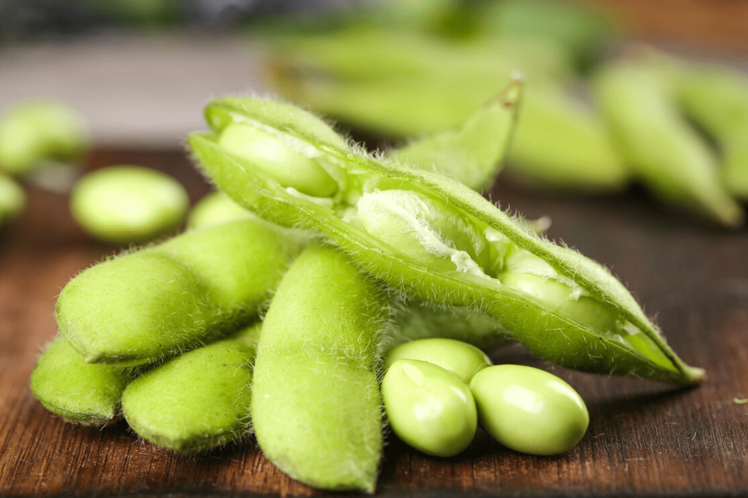 熒豆 熒豆