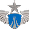 空軍元帥