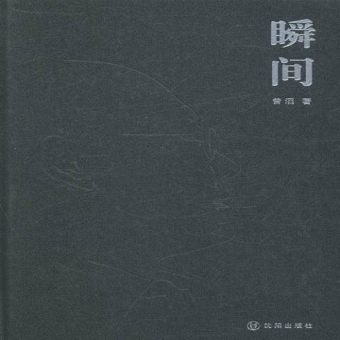 瞬間(2013年瀋陽出版社出版的圖書) 瞬間(2013年瀋陽出版社出版的圖書)