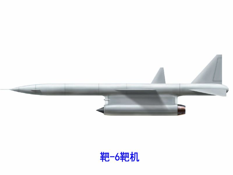 靶-6 靶-6