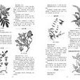蔓生合耳菊 蔓生合耳菊