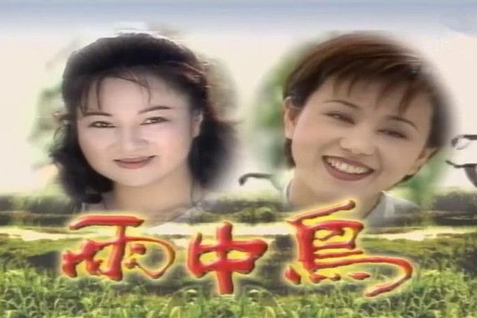 雨中鳥(1999年白冰冰主演的劇集) 雨中鳥(1999年白冰冰主演的劇集)