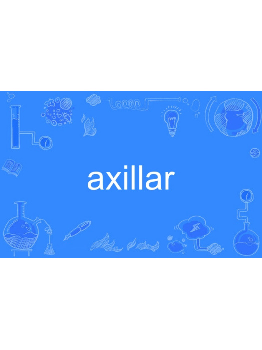 axillar axillar