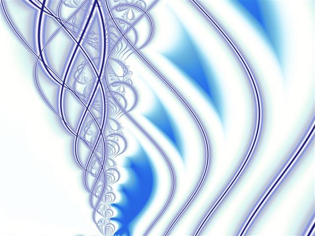 空穴子 空穴子