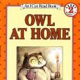 Owl at Home Owl at Home