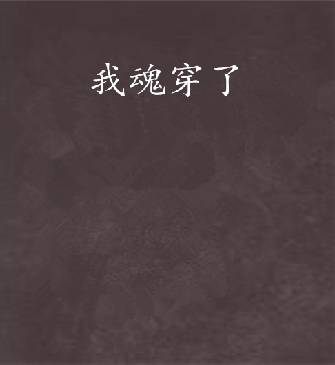 我魂穿了 我魂穿了