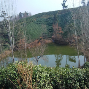 龍窩水庫