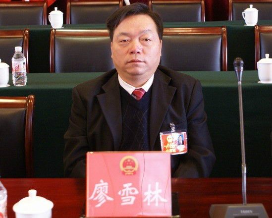 廖雪林(湖南省韶山市人大常委會黨組書記) 廖雪林(湖南省韶山市人大常委會黨組書記)