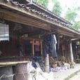 大井村(雲南省寧洱縣同心鄉石膏井行政村大井村) 大井村(雲南省寧洱縣同心鄉石膏井行政村大井村)