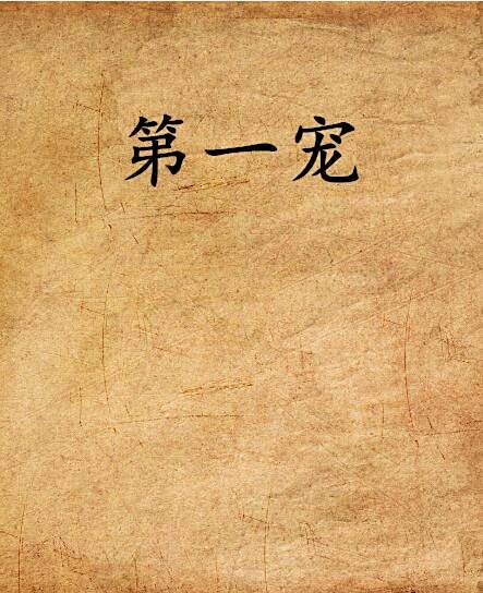 第一寵