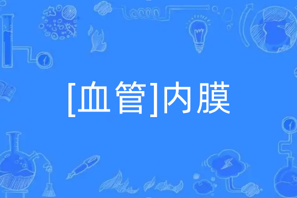 [血管]內膜