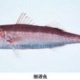 史氏[魚志]