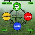 能量流動
