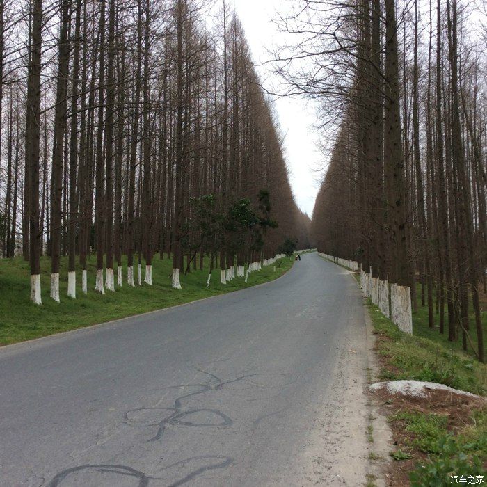 塘下公路 塘下公路