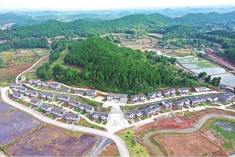 白鶴林村(四川省遂寧市蓬溪縣文井鎮下轄村) 白鶴林村(四川省遂寧市蓬溪縣文井鎮下轄村)
