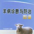 羊病 羊病