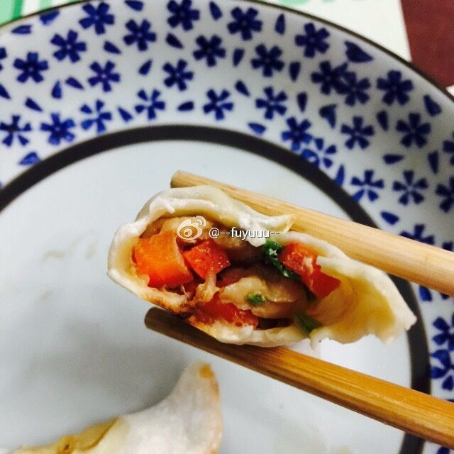 雞胸肉餃子 雞胸肉餃子