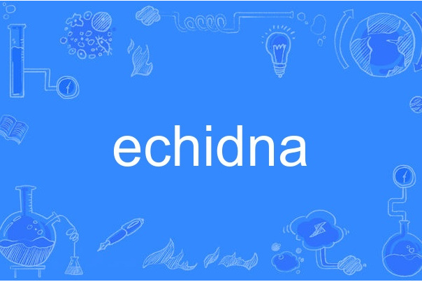 echidna echidna