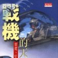 戰機的天空 戰機的天空