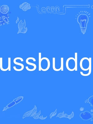 fussbudget fussbudget