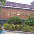 馬鞍山農場 馬鞍山農場