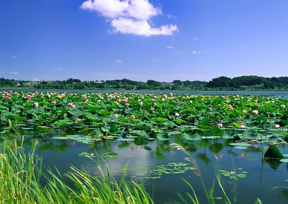 江庭賦 江庭賦