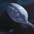 勺子外星人 勺子外星人