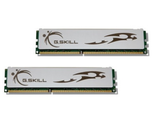 芝奇4GB DDR3 1600(F3-12800CL8D-4GBECO) 芝奇4GB DDR3 1600(F3-12800CL8D-4GBECO)