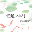 憶起少年時 憶起少年時