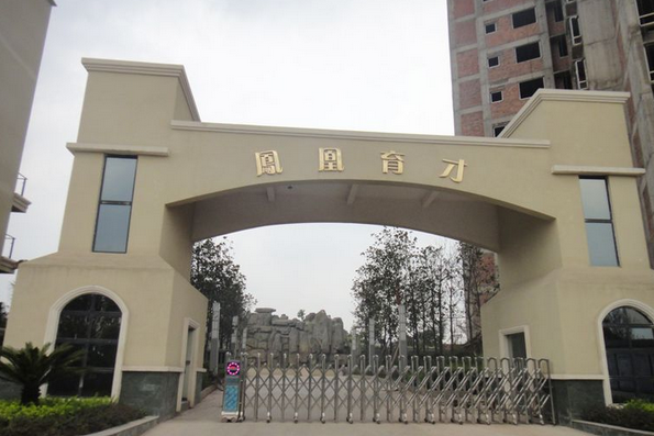 鳳凰育才 鳳凰育才