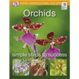 Orchids （蘭花）