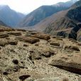 列山墓地 列山墓地