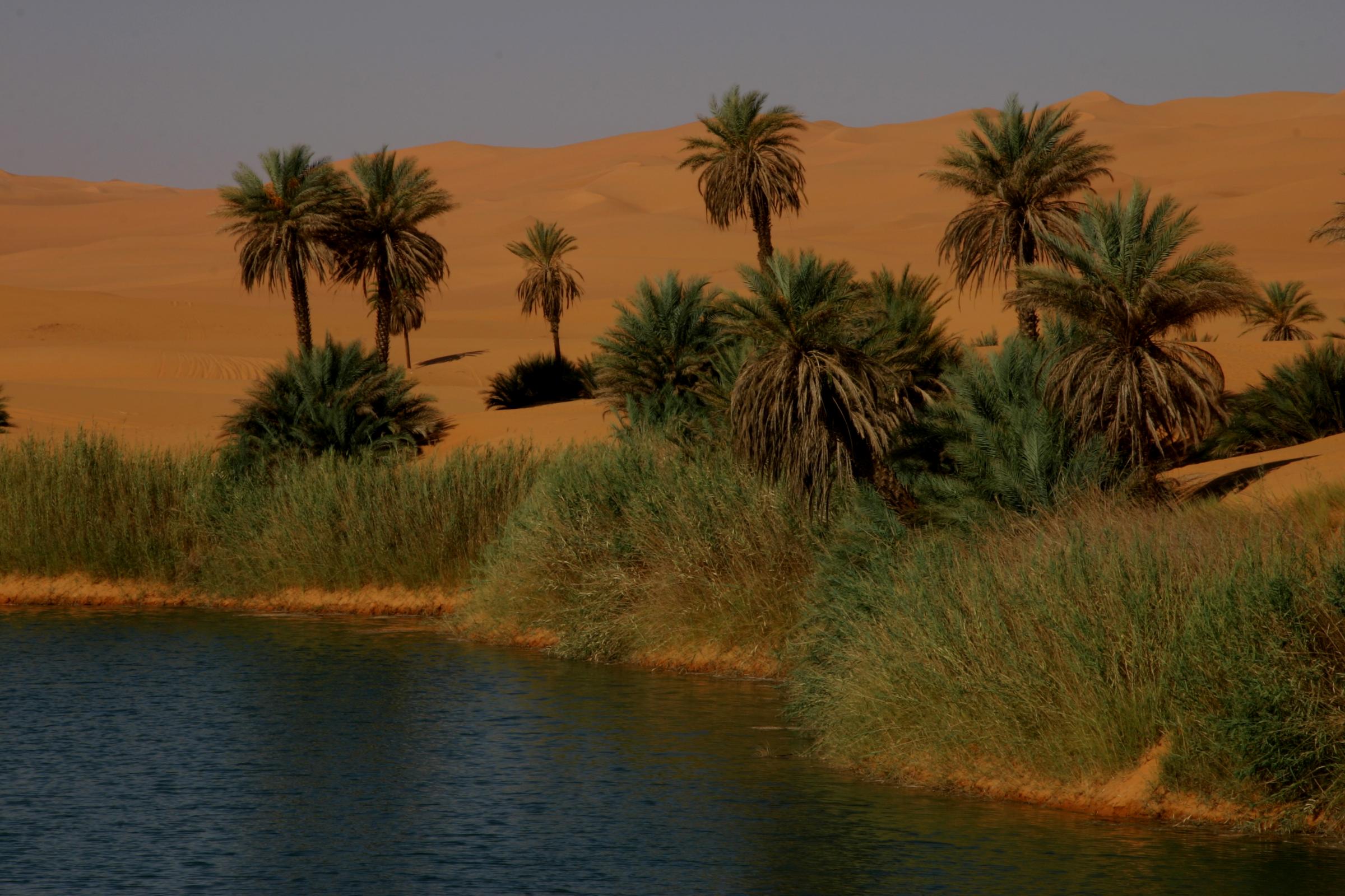 利比亞沙漠-自然環境