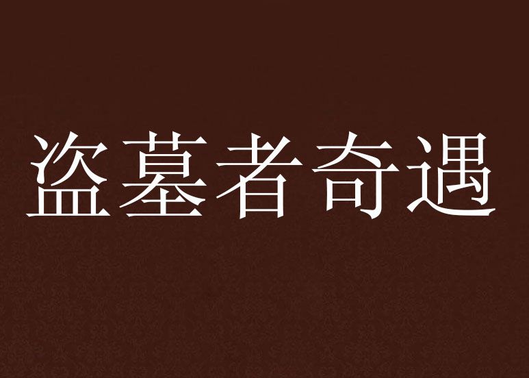 盜墓者奇遇 盜墓者奇遇