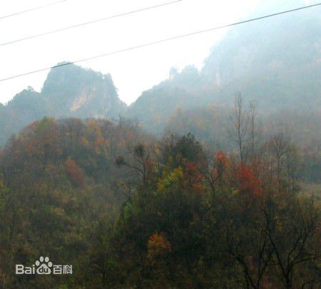 羅鎮鎮(羅鎮(陝西省漢中市西鄉縣下轄鎮)) 羅鎮鎮(羅鎮(陝西省漢中市西鄉縣下轄鎮))