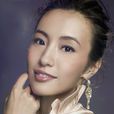 韓曉(中國大陸女演員) 韓曉(中國大陸女演員)