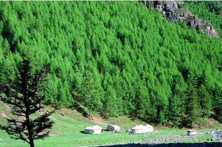 松樹溝 松樹溝
