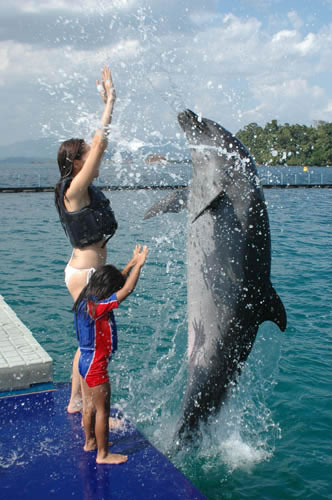 菲律賓蘇比克灣海洋冒險樂園