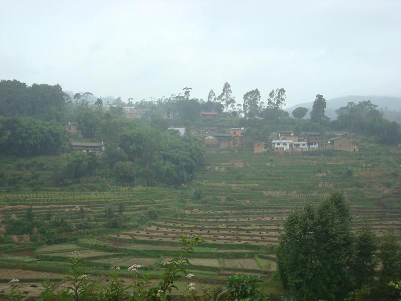 營池四隊村 營池四隊村