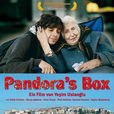 潘多拉魔盒(2008年土耳其電影)