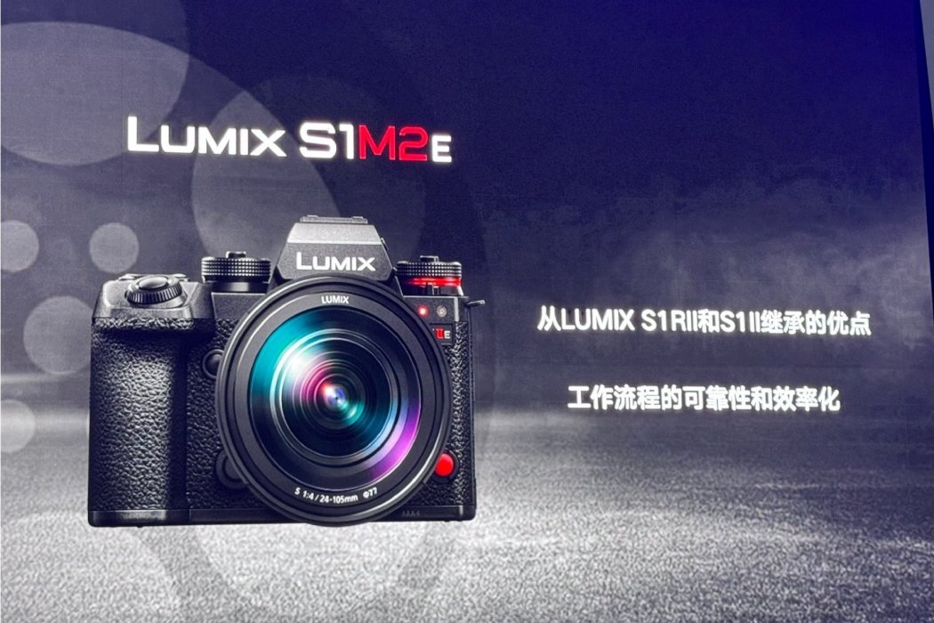 松下 LUMIX S1M2E