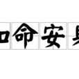 知命安身 知命安身