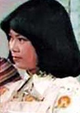 乘風破浪(1975年梁淑怡執導電視劇)