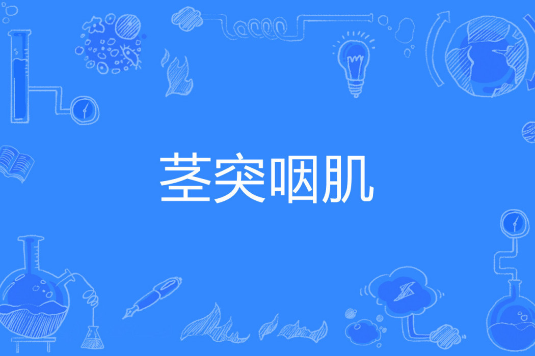 莖突咽肌 莖突咽肌