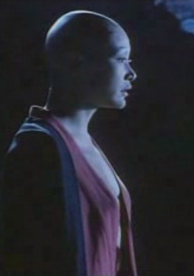 誘僧(1993年陳沖、吳興國主演的電影)