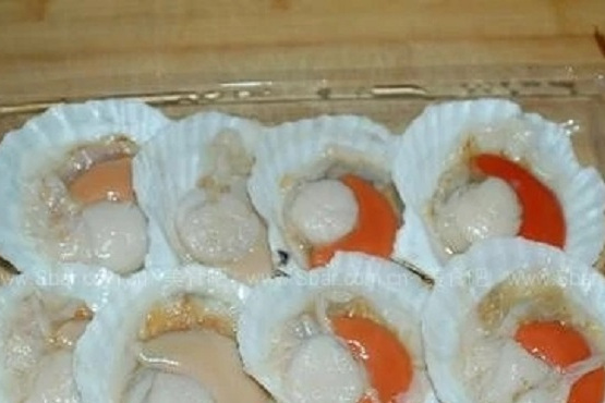 齒形櫛孔扇貝 齒形櫛孔扇貝