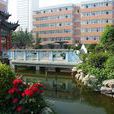 杜橋中學(陝西省渭南市中學) 杜橋中學(陝西省渭南市中學)