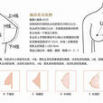 胸指數 胸指數