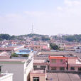 象角村 象角村